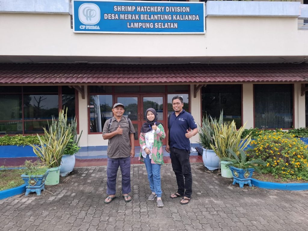 Kunjungan Aqualife ke Shrimp Hatchery Division Desa Merak Belantung Kalianda Lampung Selatan