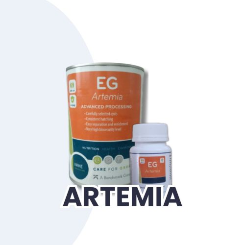 Produk Artemia Aqualife