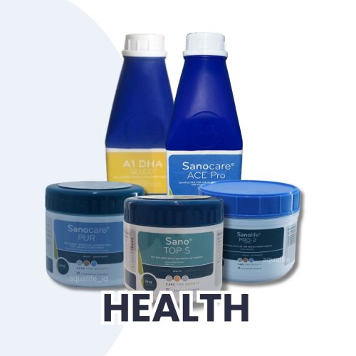 kategori health