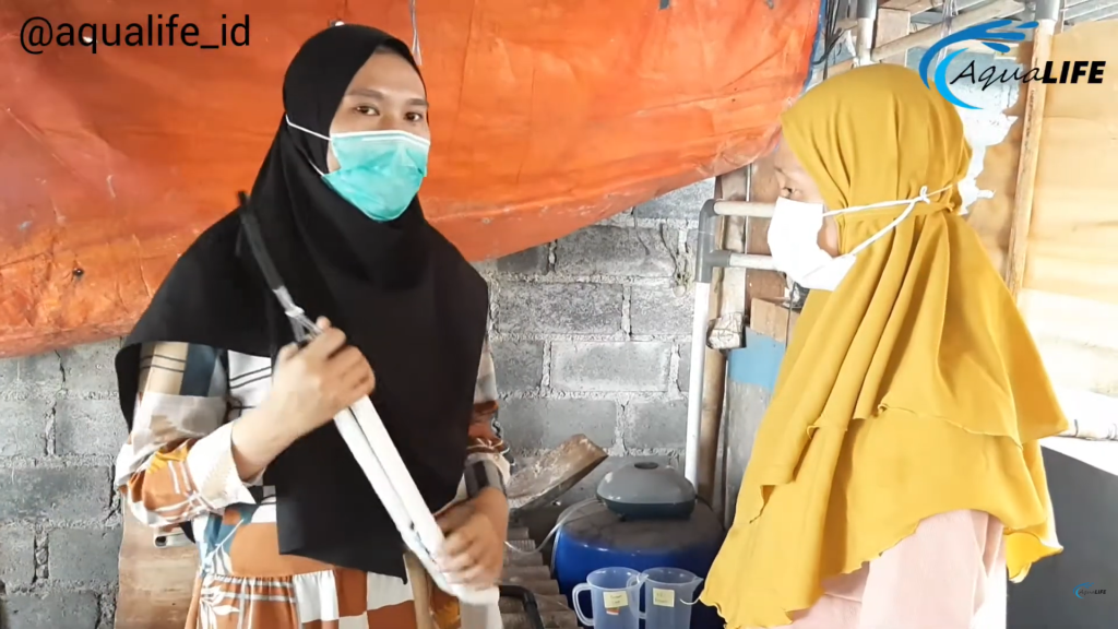 Kultur EG Artemia di Pembenihan Ikan Patin Bekasi - Aqualife